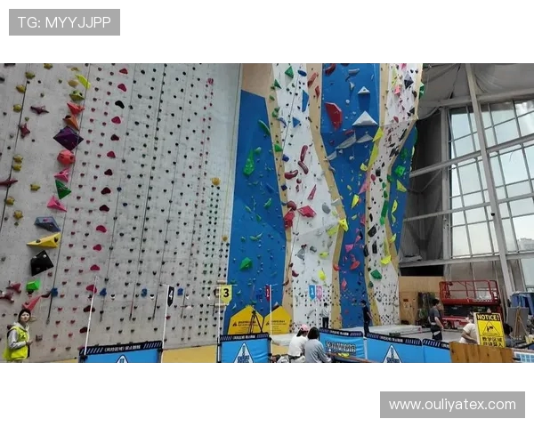 杭州攀岩队的团队协作探索与实践：攀岩运动中的默契与信任